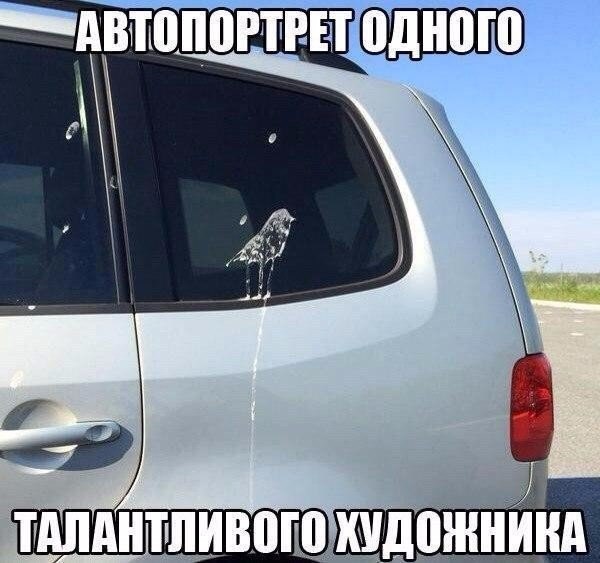 Подборка безудержного веселья