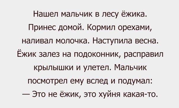 "Слегка" чёрный и абсурдный юморок