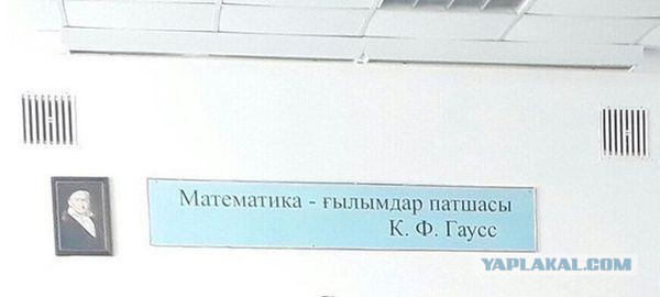 Подборка рекламы, надписей, объявлений и прочего пиару