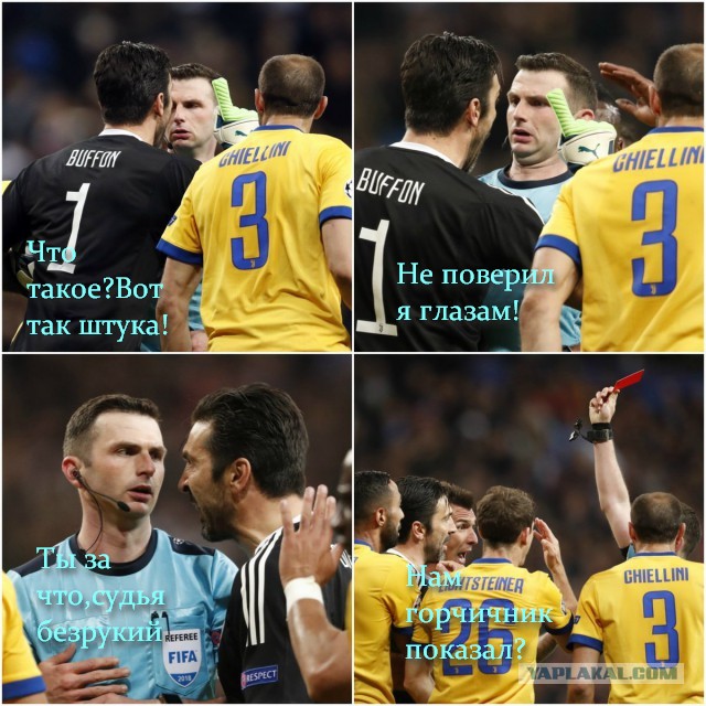 Беседка ФиС ЯПа 6