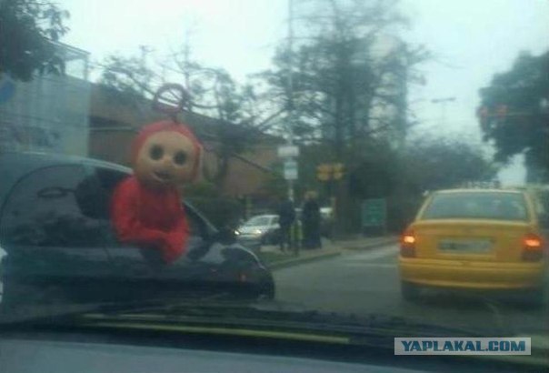 Звездуны и звездульки негодуют