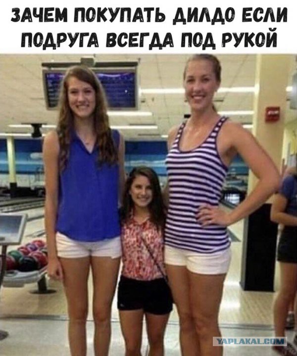 Прикольные картинки обо всем