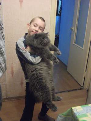 Котовторник стартует