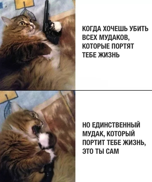Немного картинок на вечер