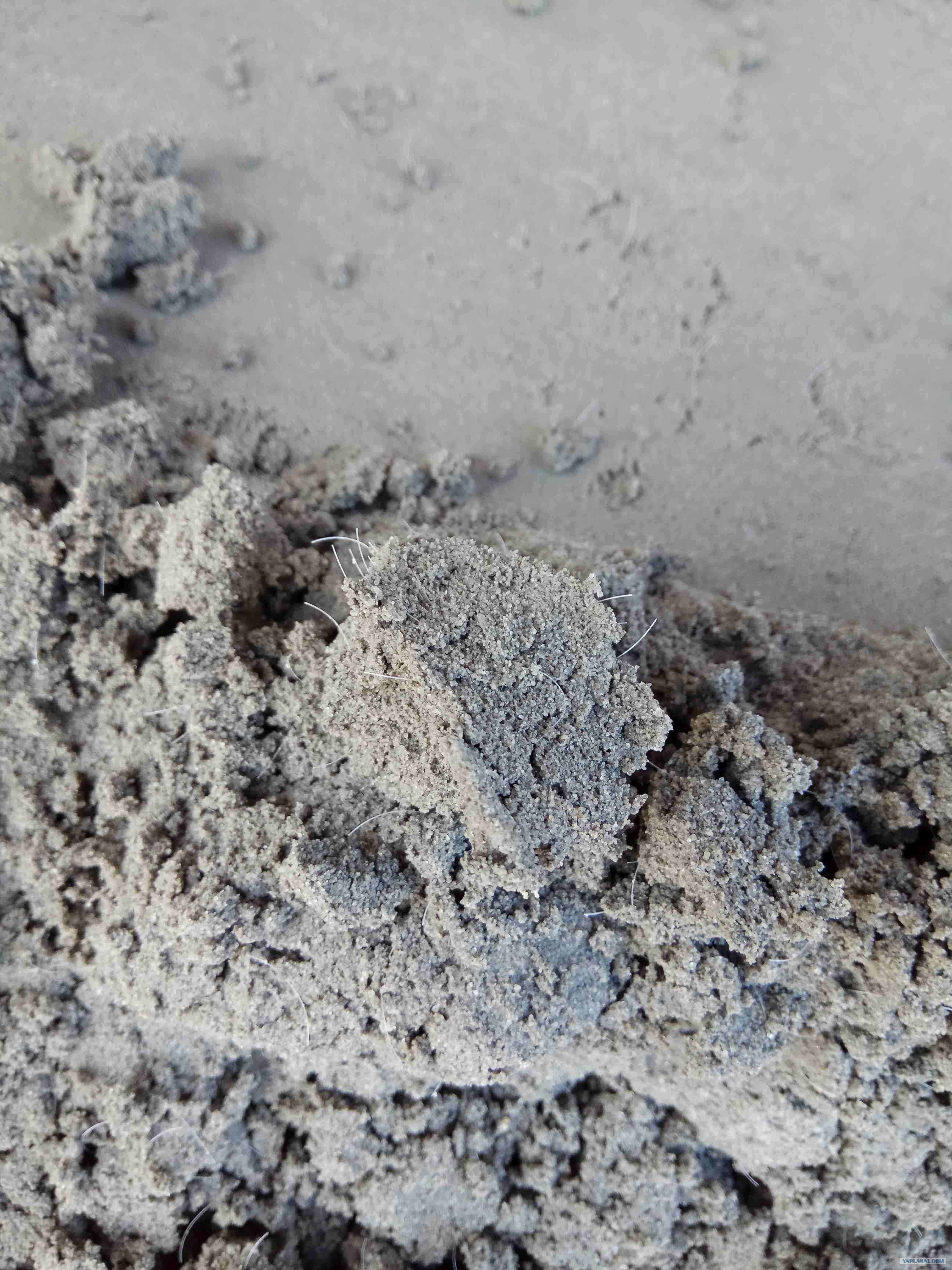 Волокно строительное микроармирующее всм 12 мм расход на мешок цемента