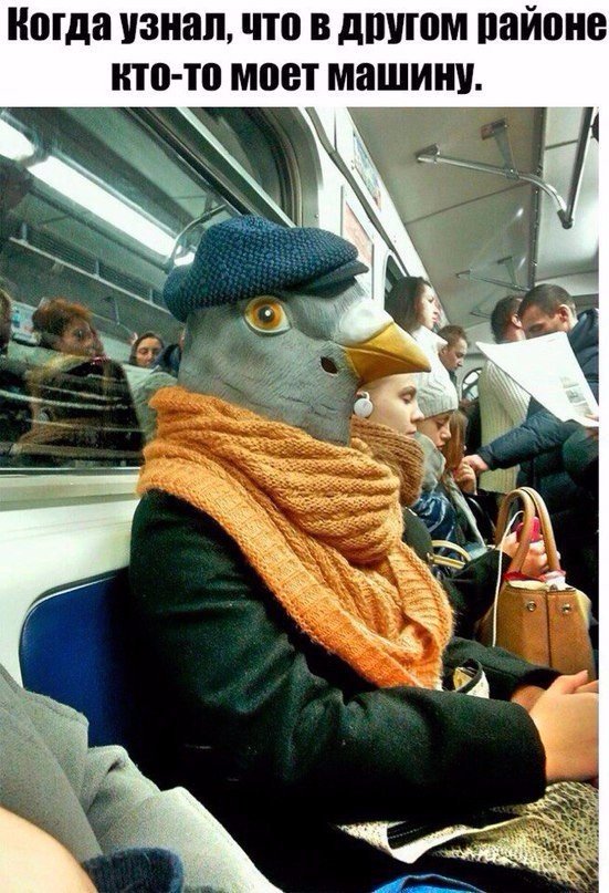 Нестандартный юмор