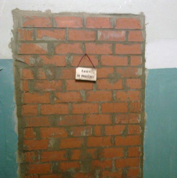 И всё-таки она наша. Лента картинок