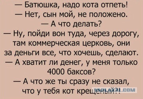 Взрывы на Шри-Ланке: более 40 человек погибли, около 300 пострадали