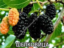 Немного картинок для настроения