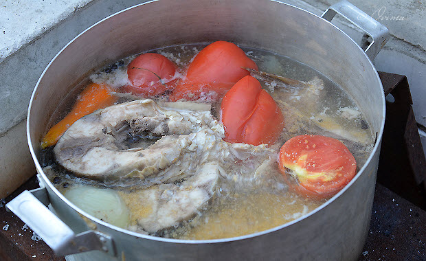 Дачная юшка на берегу Днепра