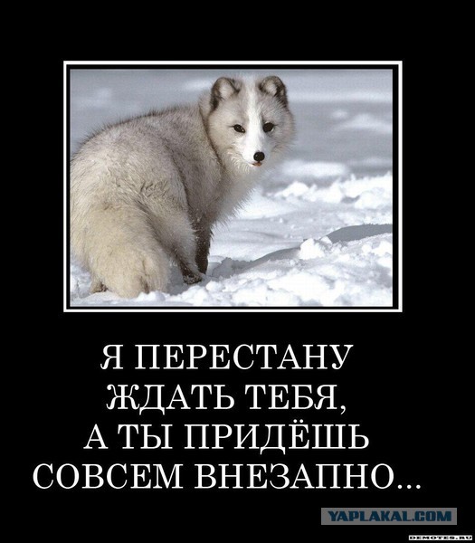 Россияне ностальгируют по закатным годам "близкой народу" советской власти, считая нынешнюю коррумпированной и чужой