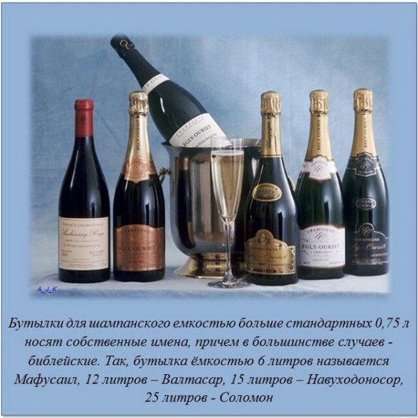 Интересные факты обо всем на свете