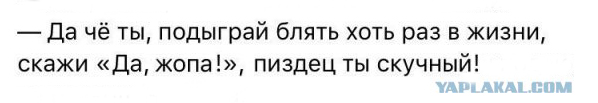 Бредзона в картинках