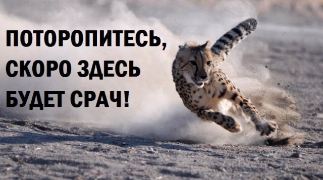 Отправили в армию, выломав дверь и отключив телефон