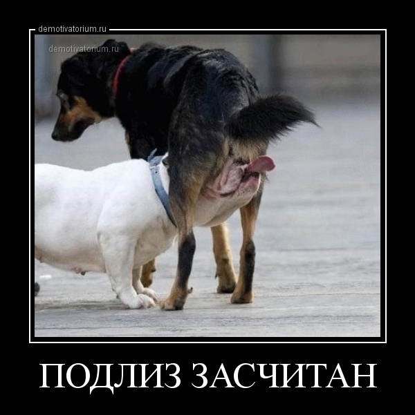 ПИkчeReЗW #2 от 17.01.2020