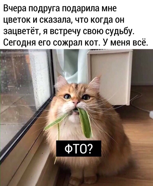 Чуток картинок. 29.02.20