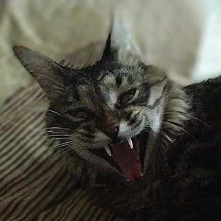 Вещи, которые были очень популярны в 90-х и которые сейчас уже не найти