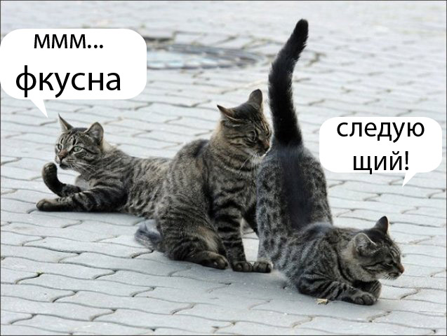 Подпиши фото!