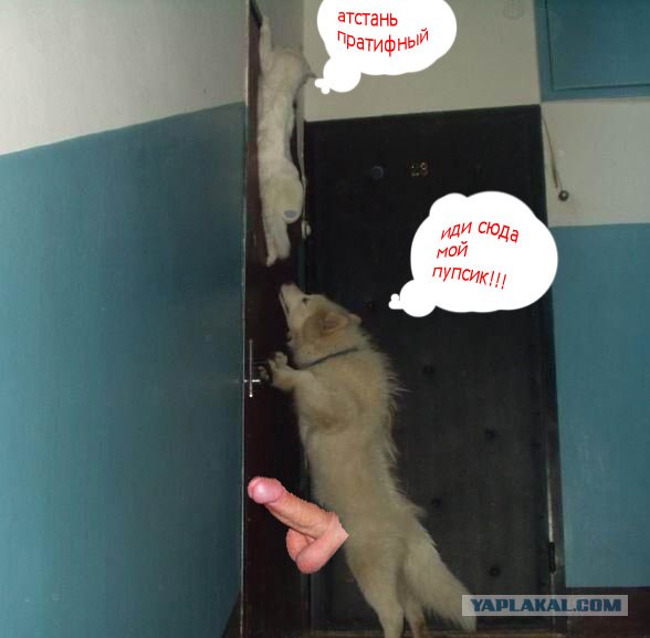 Фотожаба: Загнал сволочь!