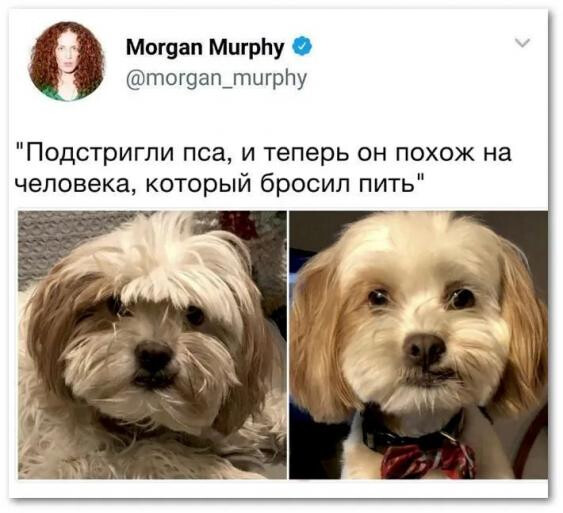 Фотки и картинки: юморные и красивые, забавные и милые 13.11.20