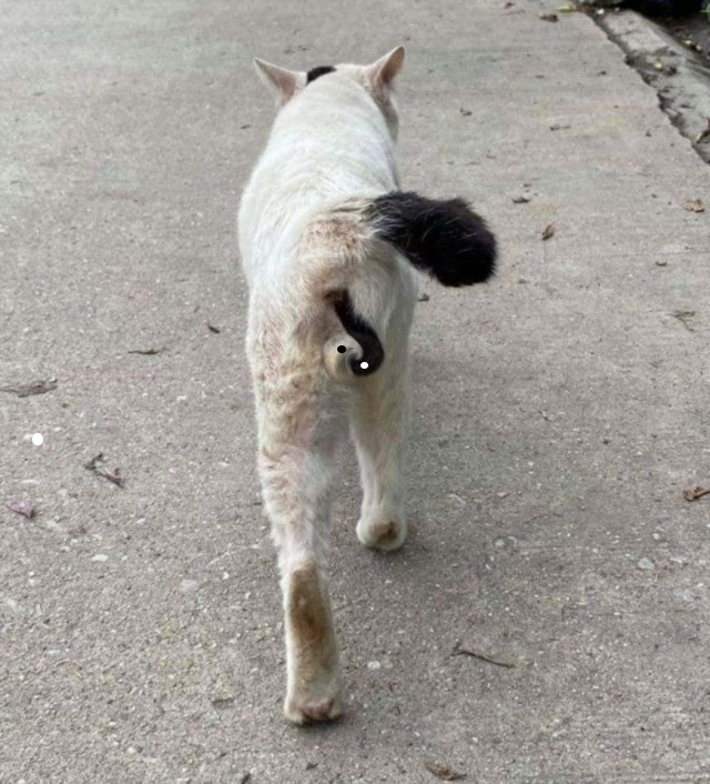 Бредзона 10.01.21