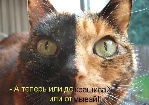 Бредзона 06.02.21
