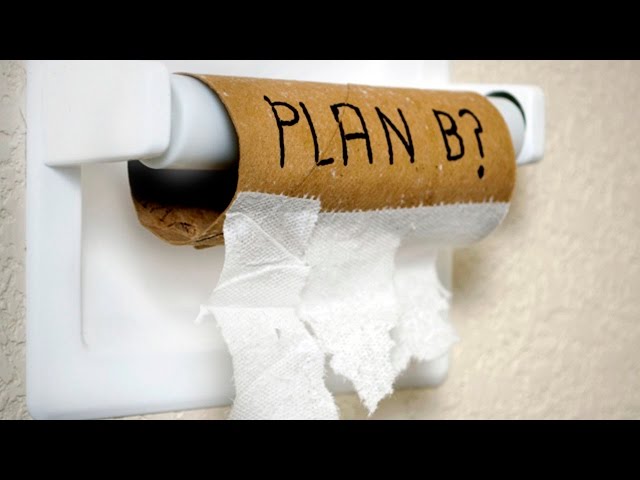 В Антарктиде пингвин спасся от косаток, заметив лодку с людьми