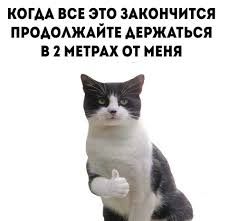Умеет быстро и качественно создавать проблемы