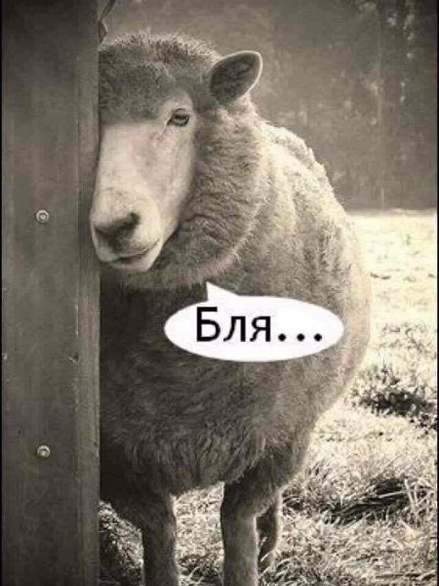 Мы пьем пиво, или что сейчас называется пивом?