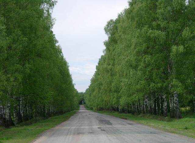 Красивейшие дороги.