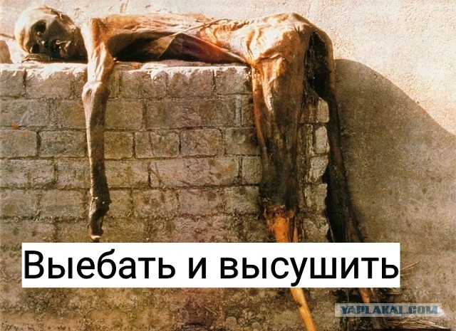 Закладчица наркотиков прочитала в суде стихи, но от наказания это её не спасло