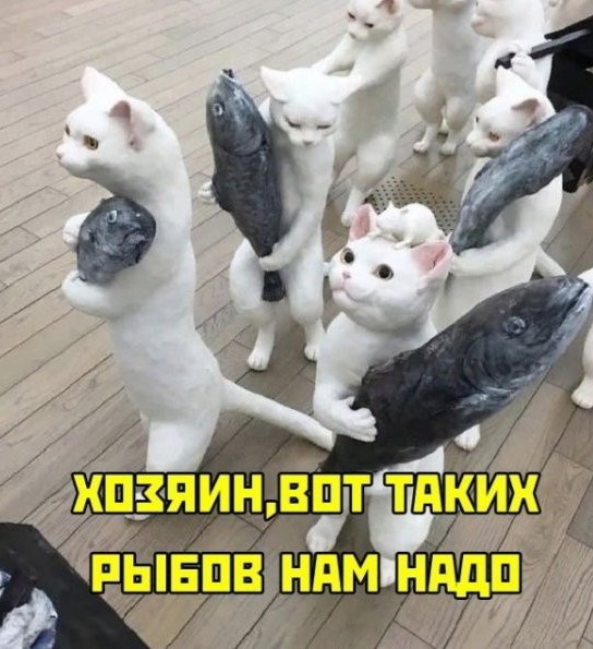 Вот и я стал рабом