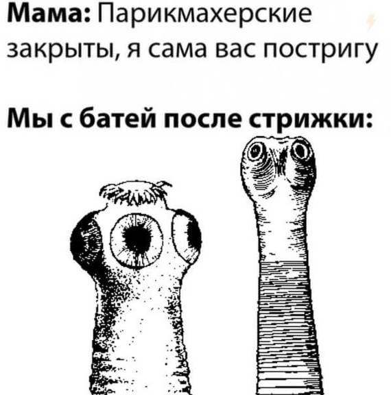 Так себе картинки 09.12.21
