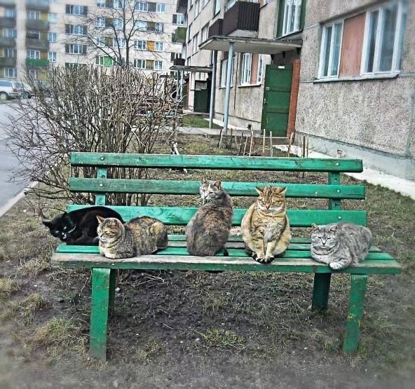Ну, понеслась!