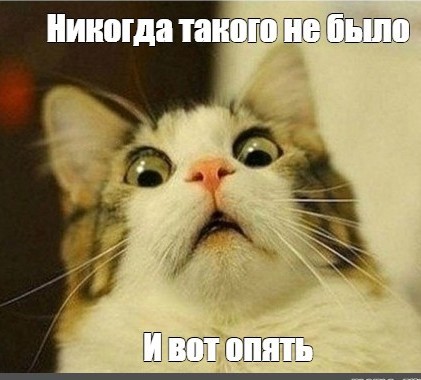 В московском торговом центре обнаружили пять тонн фальшивой красной икры