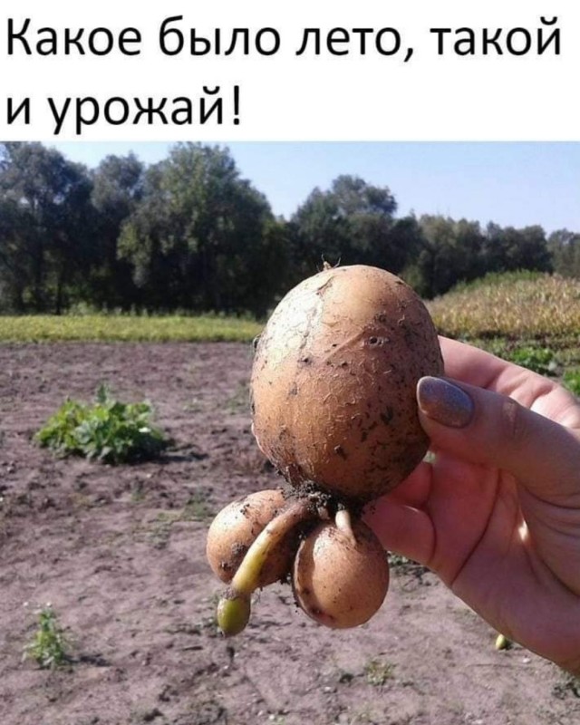 16684356.jpg