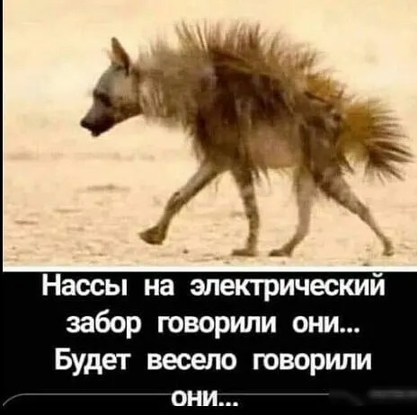 Забавные шутки, фразы, картинки из этих ваших интернетов