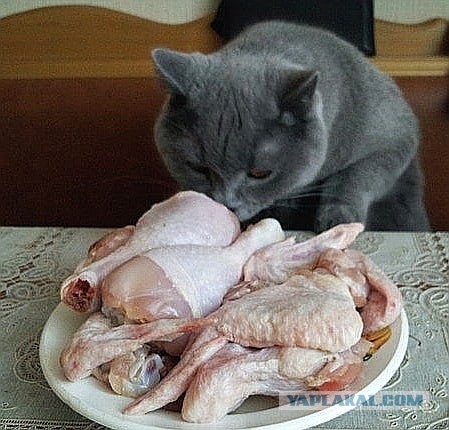 Оно же шевелится, значит можно