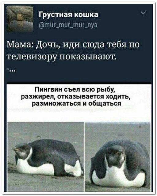 Так себе картинки 17.10.22