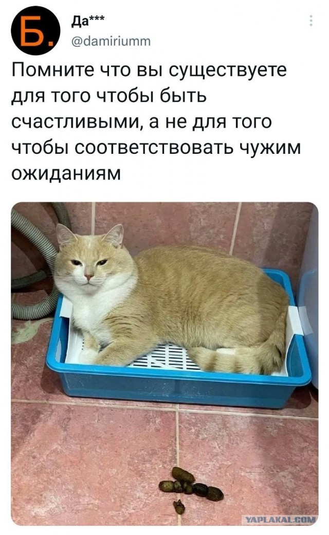 Подборка интересных и веселых картинок 09.02.23