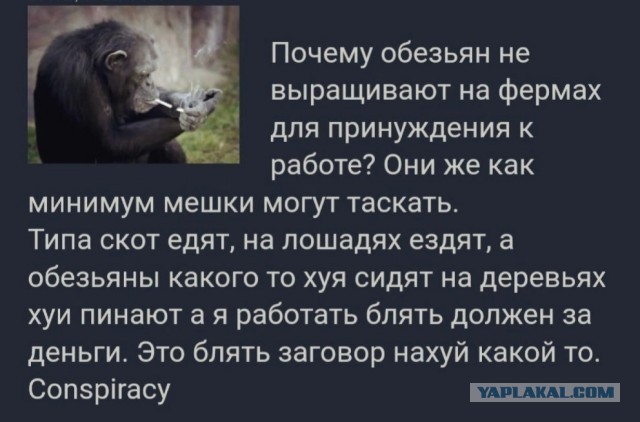 Всего понемногу 06.03