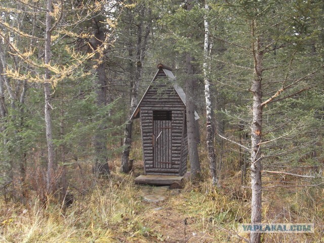 Преемник Шойгу.Реальный глава МЧС оказался в юбке