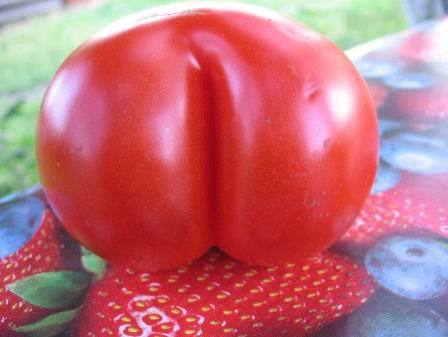 Экстренное торможение