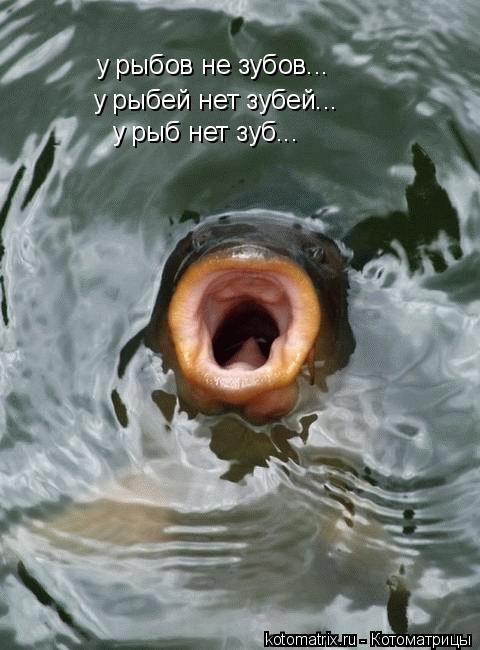 Картинки и буквы