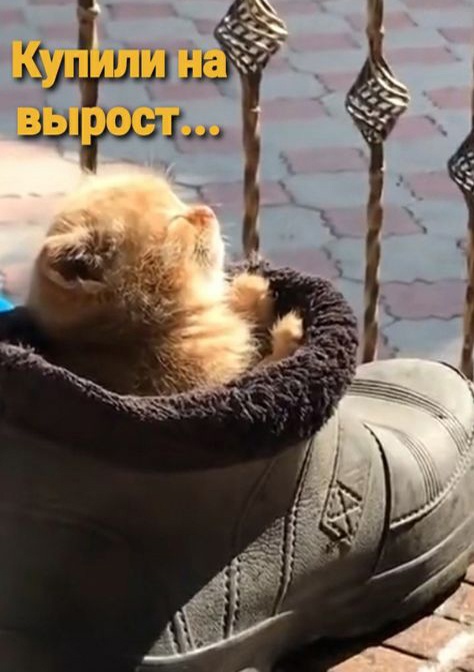 Так себе картинки 20.01.24