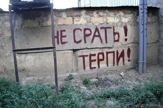 ТОП-13 фактов, связанных с очень неприличным физиологическим процессом