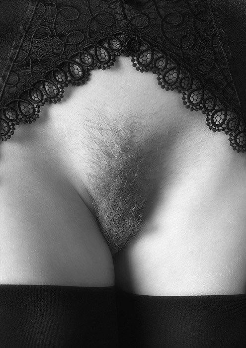 ФотоВинегрет