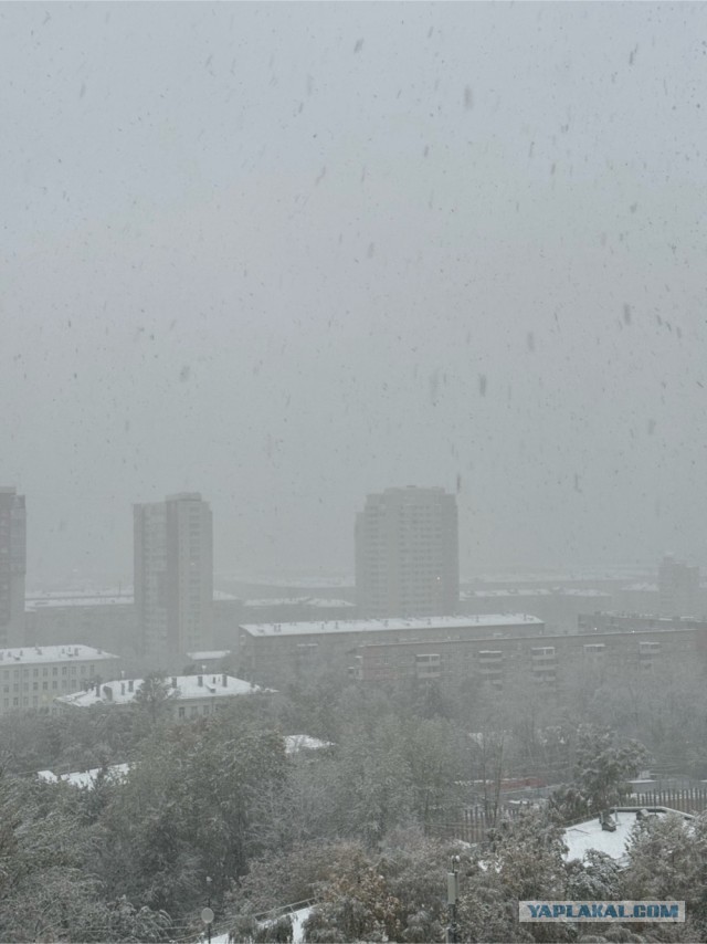 Снег добрался до Москвы
