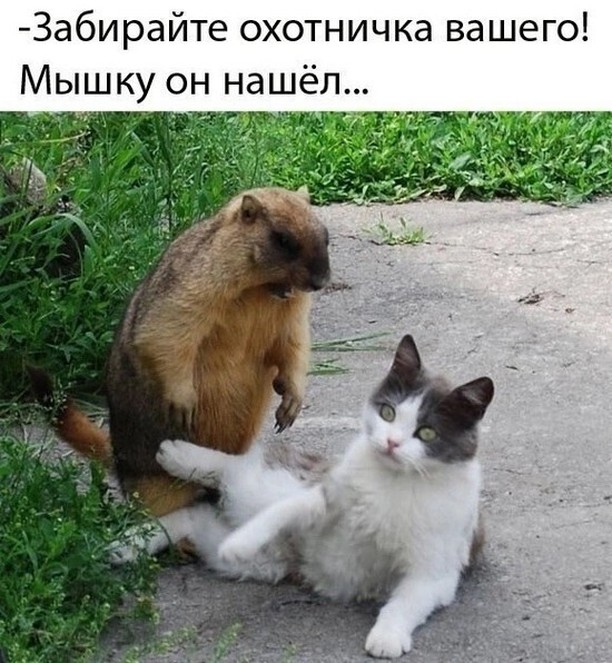 Завалялось тут случайно немного забавных картинок