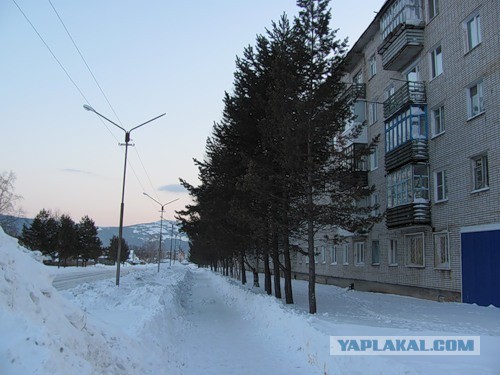 А вы посадили картошку?